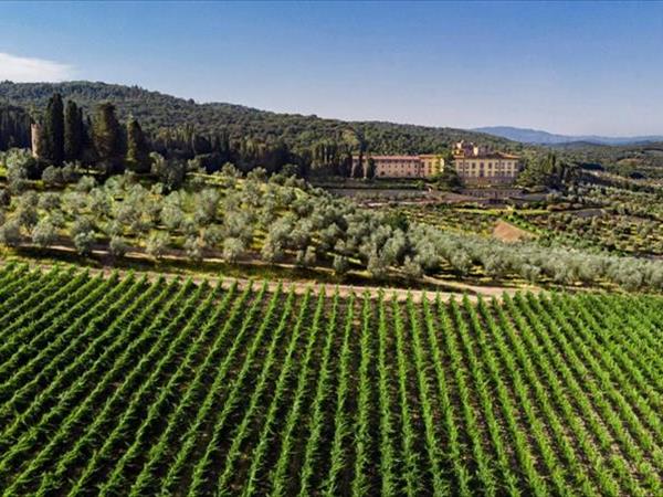 Torre a Cona Wine Estate a Firenze