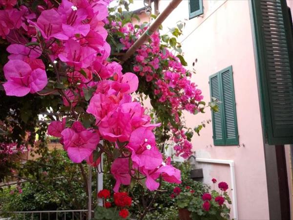 Albergo Italia a Piombino