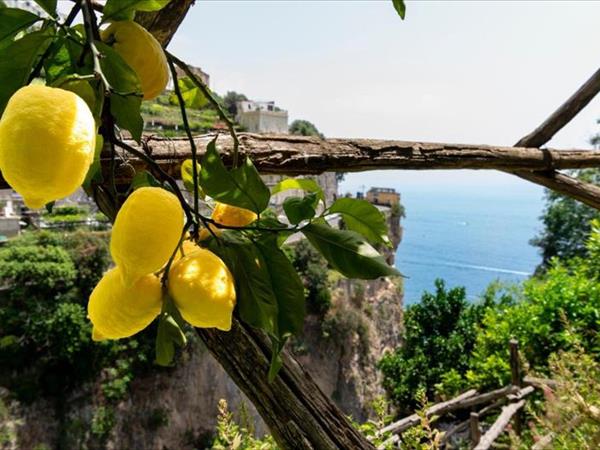 Hotel La Pergola a Amalfi