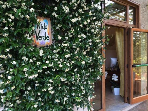 Nido Verde a Agerola