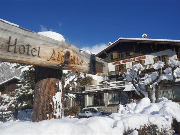 Hotel Aiguille Noire a Courmayeur