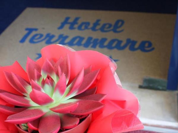 Hotel Terramare a 